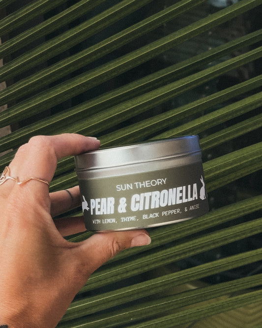 A hand holding a silver tin of Sun Theory 'Pear & Citronella' candle against a background of green palm leaves.