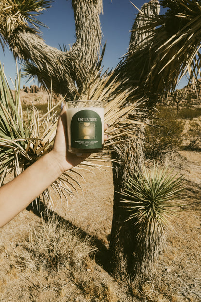 Hand holding a Joshua Tree candle against a desert background with Joshua trees.