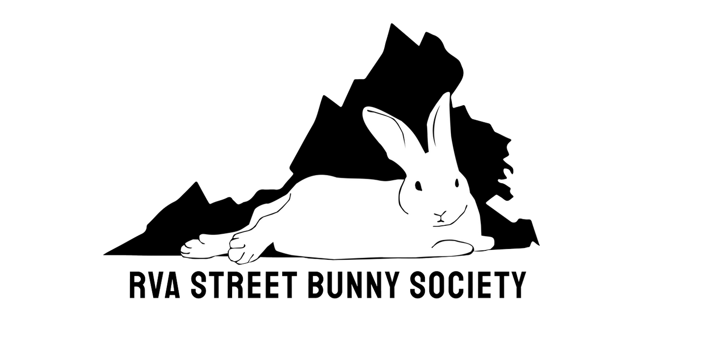 Black and white logo featuring a rabbit lying in front of mountain silhouettes, with the text 'RVA STREET BUNNY SOCIETY' below.