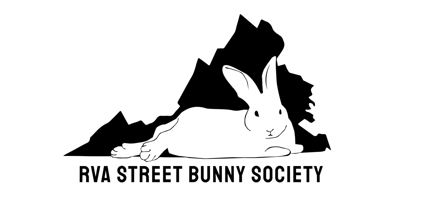 Black and white logo featuring a rabbit lying in front of mountain silhouettes, with the text 'RVA STREET BUNNY SOCIETY' below.